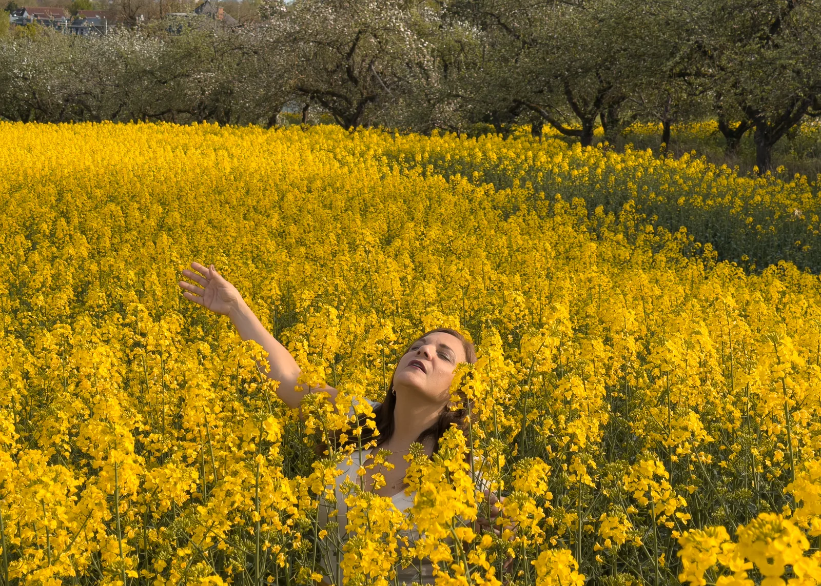 Amaloha entre flores amarillas — donde hay placer no hay dolor